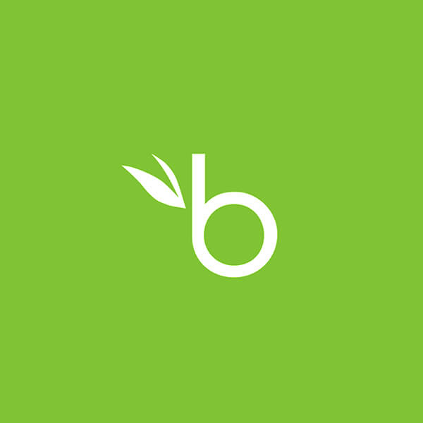 BambooHR Software Logo
